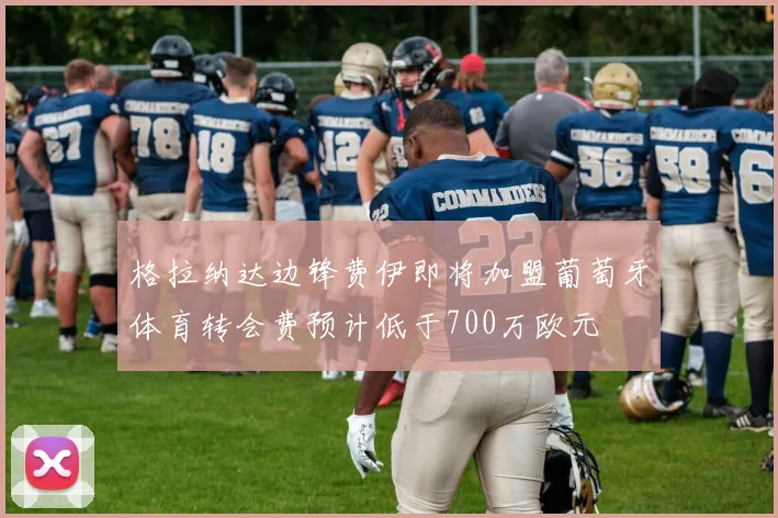 格拉纳达边锋费伊即将加盟葡萄牙体育转会费预计低于700万欧元