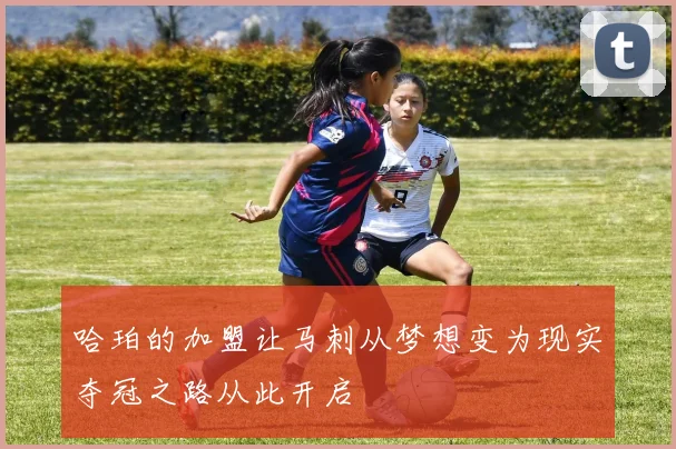 哈珀的加盟让马刺从梦想变为现实夺冠之路从此开启