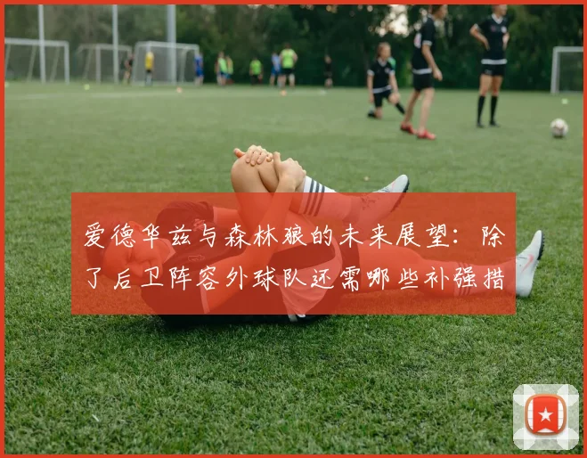 爱德华兹与森林狼的未来展望：除了后卫阵容外球队还需哪些补强措施