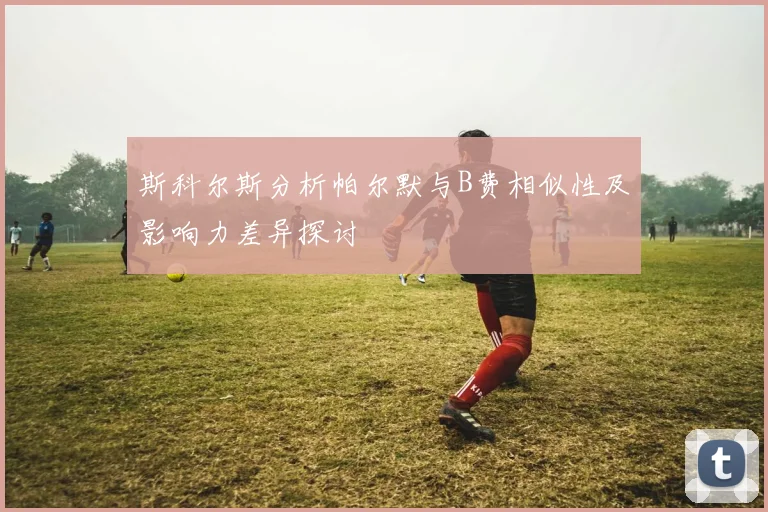 斯科尔斯分析帕尔默与B费相似性及影响力差异探讨