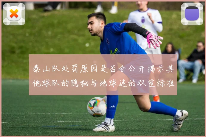 泰山队处罚原因是否会公开揭示其他球队的隐秘与地球迷的双重标准