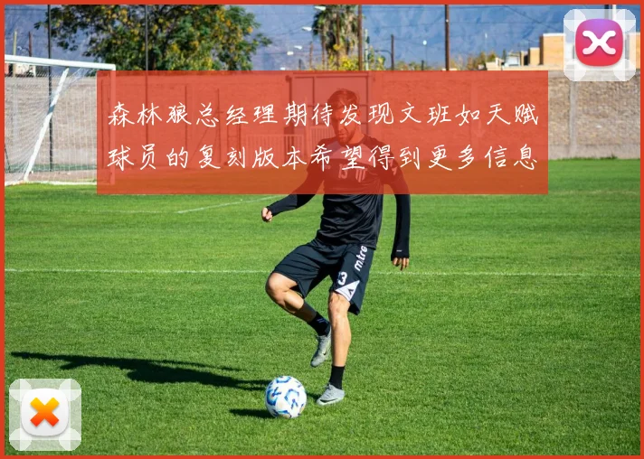 森林狼总经理期待发现文班如天赋球员的复刻版本希望得到更多信息